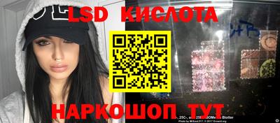 сатива Гатчина