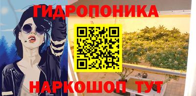 дурь Гай