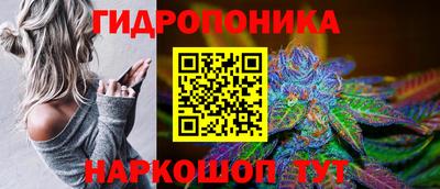 дурь Гай