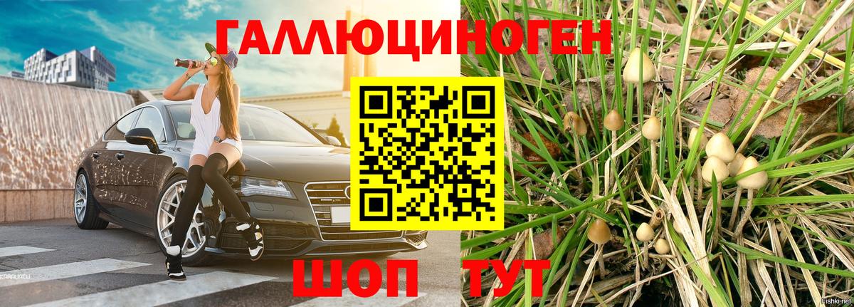 Псилоцибиновые грибы мицелий  Вход с VPN  Изобильный 