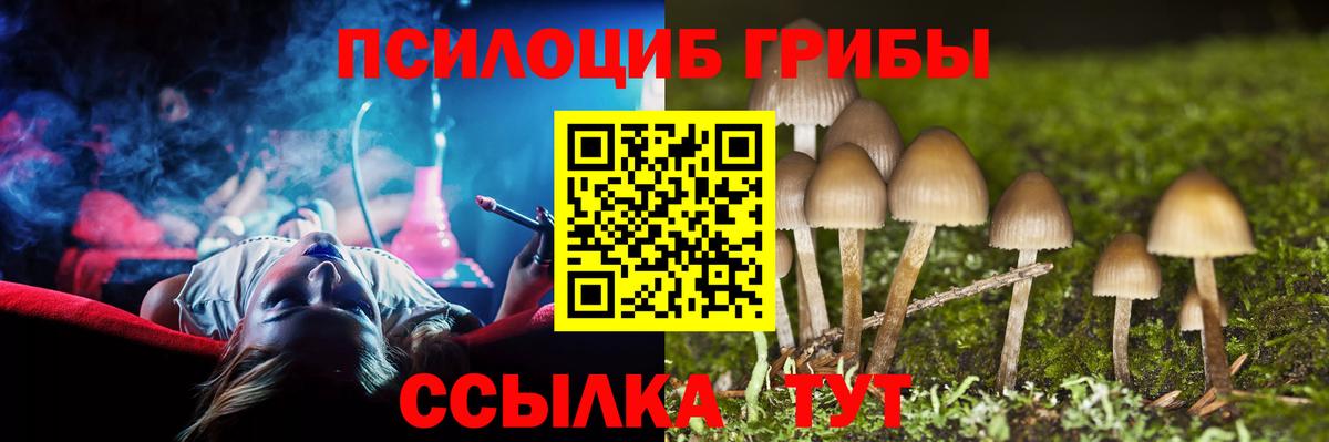 Псилоцибиновые грибы мицелий Изобильный